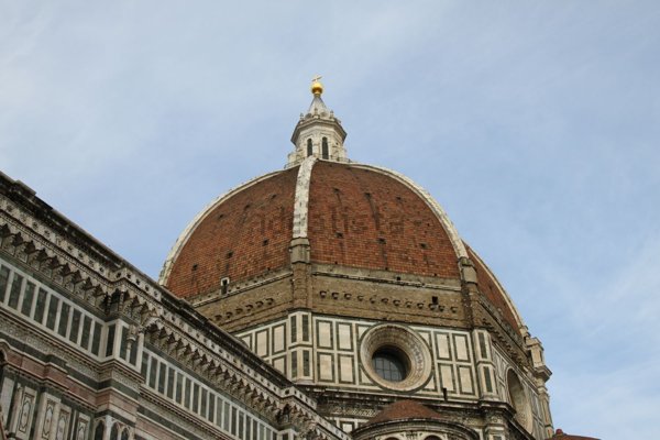 negozio in affitto a Firenze in zona Centro San Frediano