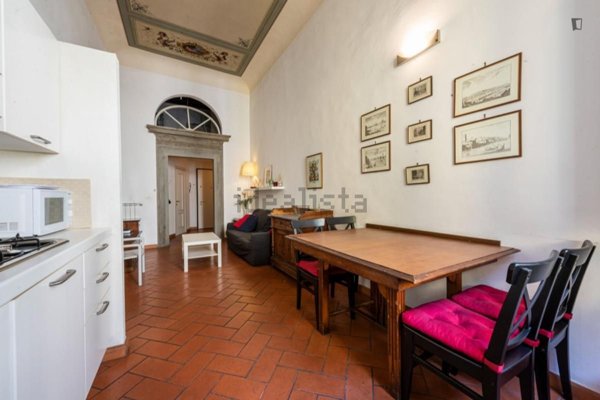 appartamento in affitto a Firenze in zona Centro Santa Croce