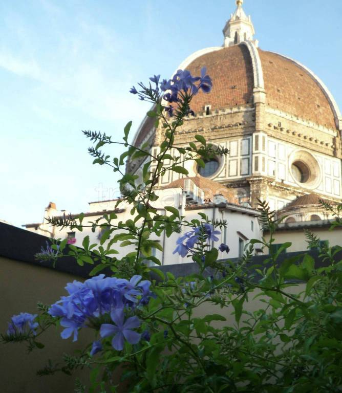 appartamento in affitto a Firenze in zona Centro Duomo