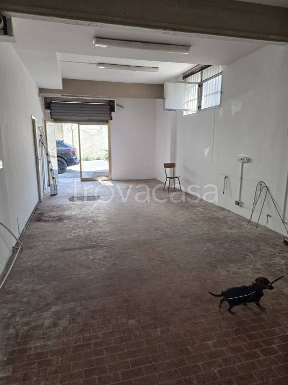 locale commerciale in affitto a Firenze in zona Novoli