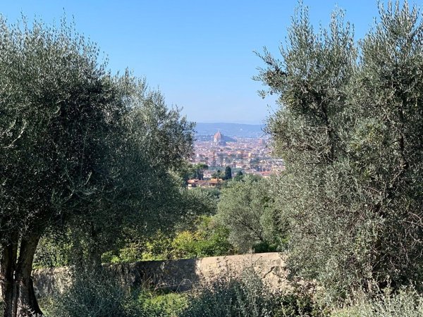 esavano in affitto a Firenze