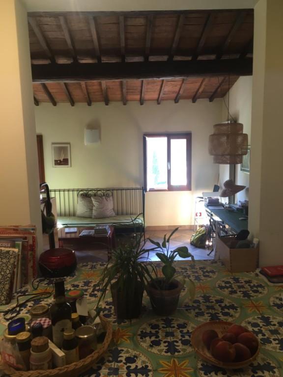 appartamento in affitto a Firenze in zona Centro San Frediano