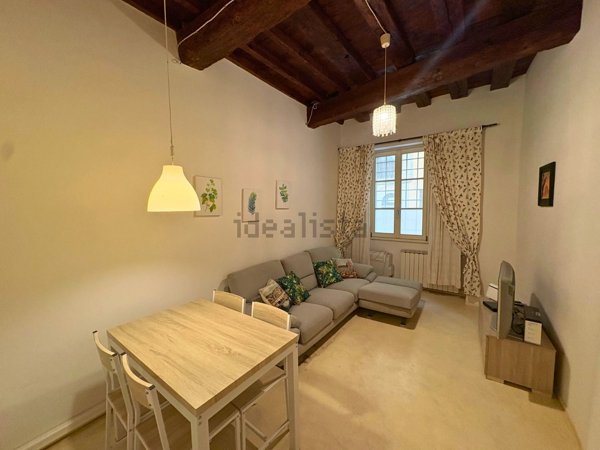 appartamento in affitto a Firenze in zona Centro San Frediano