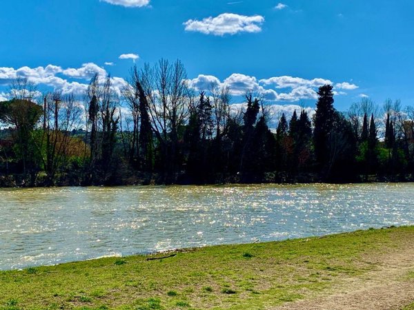 appartamento in affitto a Firenze in zona Rovezzano