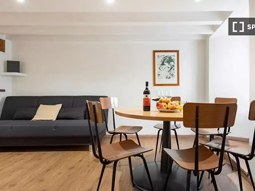 appartamento in affitto a Firenze in zona Centro San Frediano