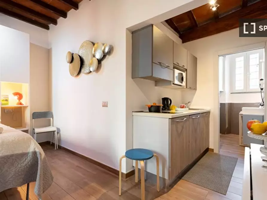 appartamento in affitto a Firenze in zona Centro San Frediano