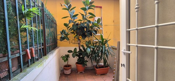 appartamento in affitto a Firenze