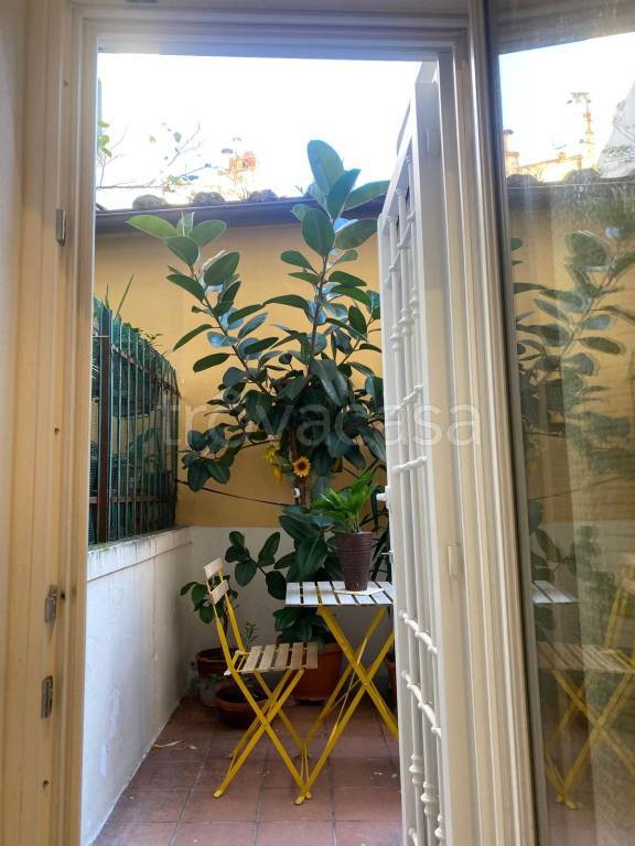 appartamento in affitto a Firenze