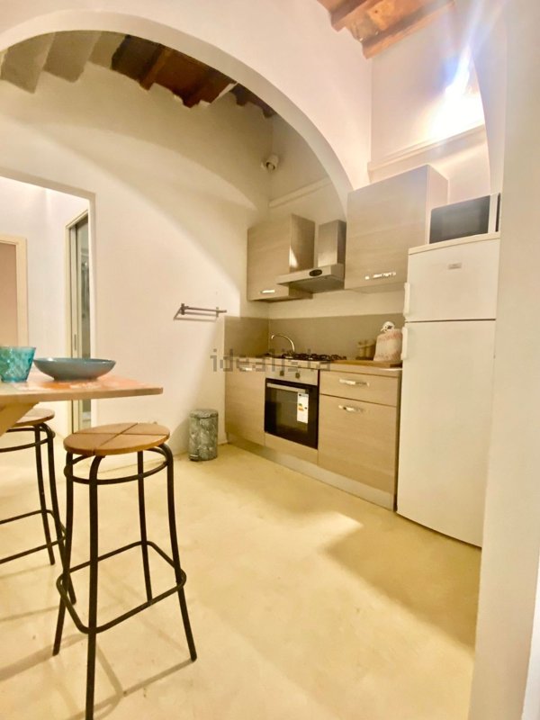 appartamento in affitto a Firenze in zona Centro San Frediano
