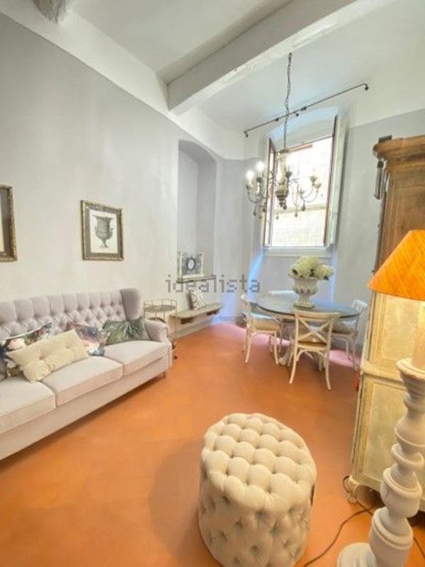 appartamento in affitto a Firenze in zona Centro San Frediano