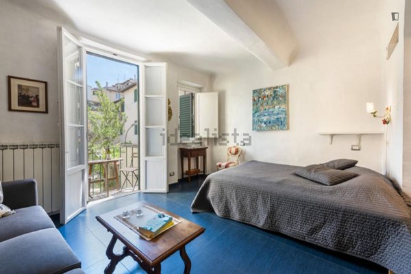 appartamento in affitto a Firenze in zona Centro San Frediano