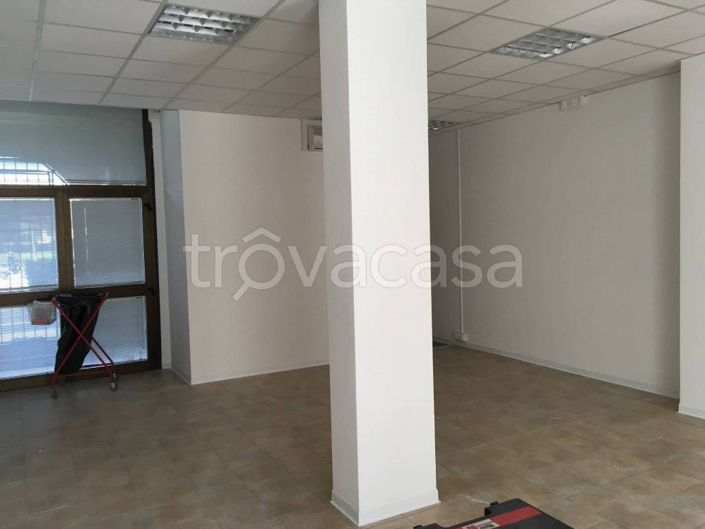 appartamento in affitto a Firenze in zona Cintoia