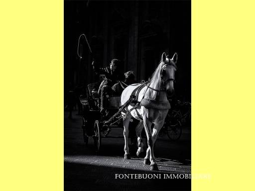 negozio in affitto a Firenze in zona Centro Storico