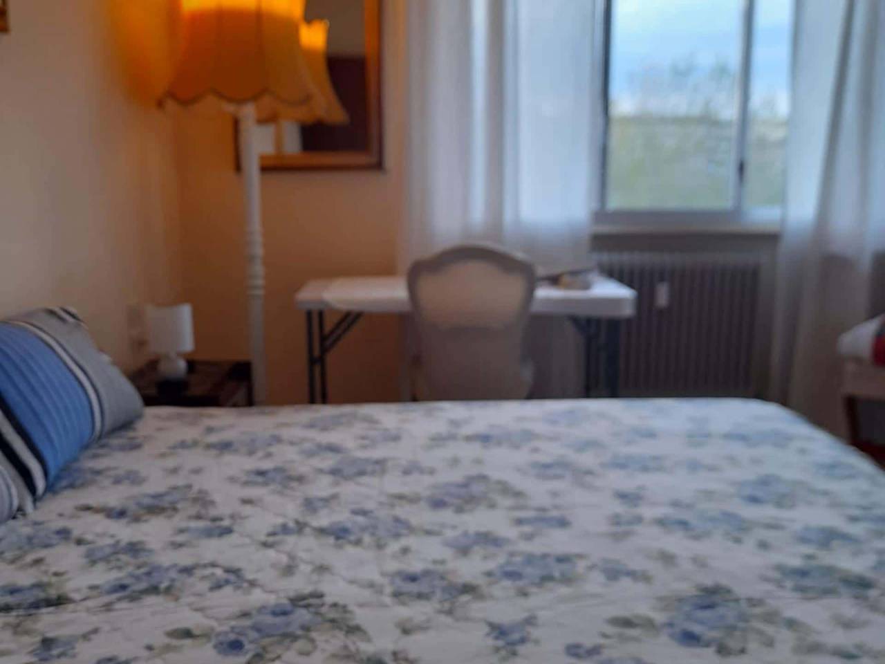 negozio in affitto a Firenze in zona Novoli