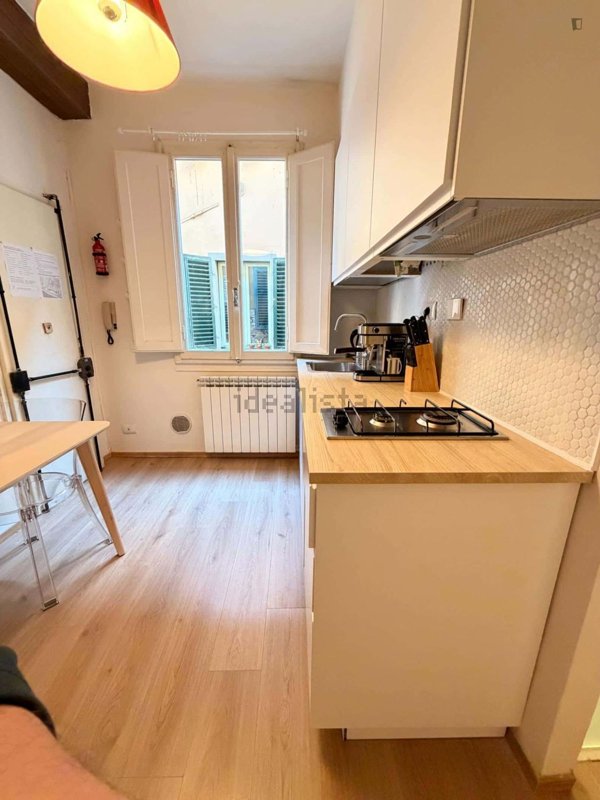 appartamento in affitto a Firenze in zona Centro Santa Croce