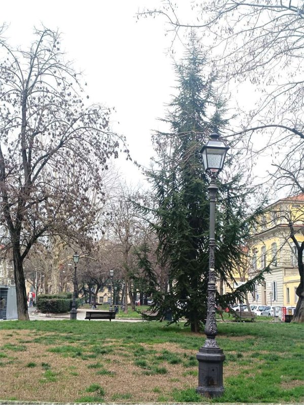 appartamento in affitto a Firenze in zona Centro Storico