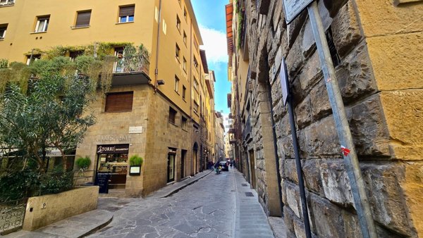 appartamento in affitto a Firenze in zona Centro San Frediano