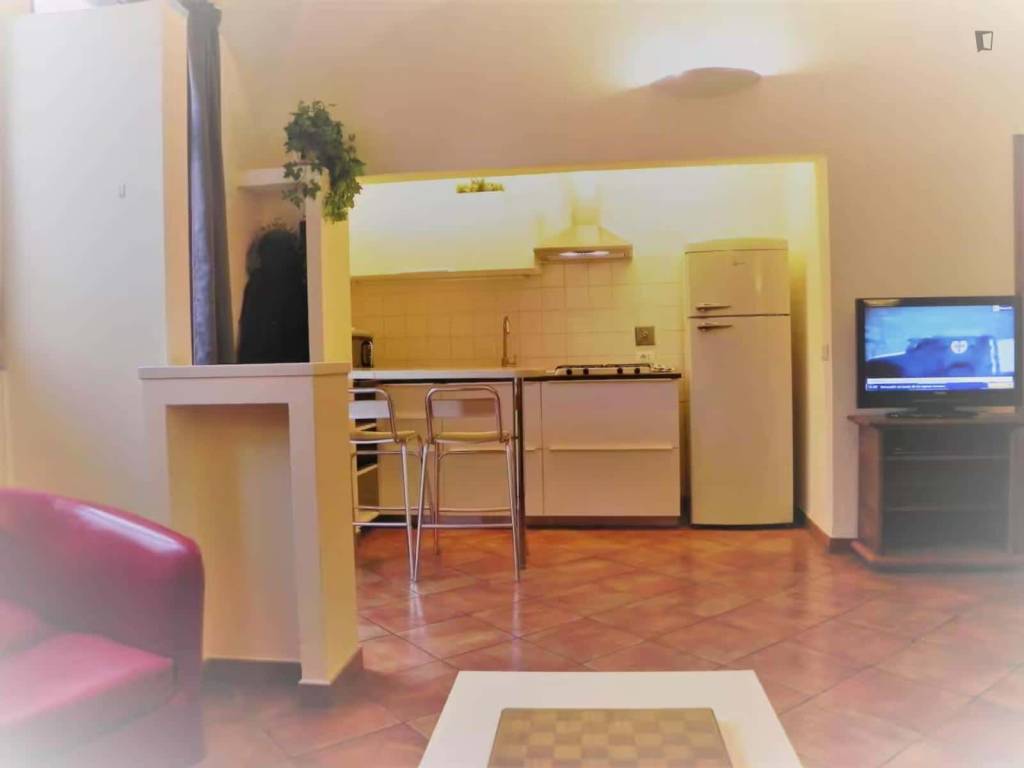 appartamento in affitto a Firenze in zona Centro San Frediano