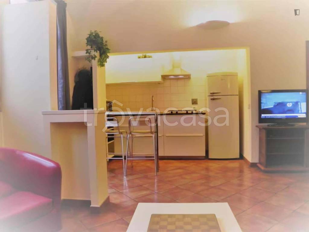 appartamento in affitto a Firenze in zona Centro San Frediano