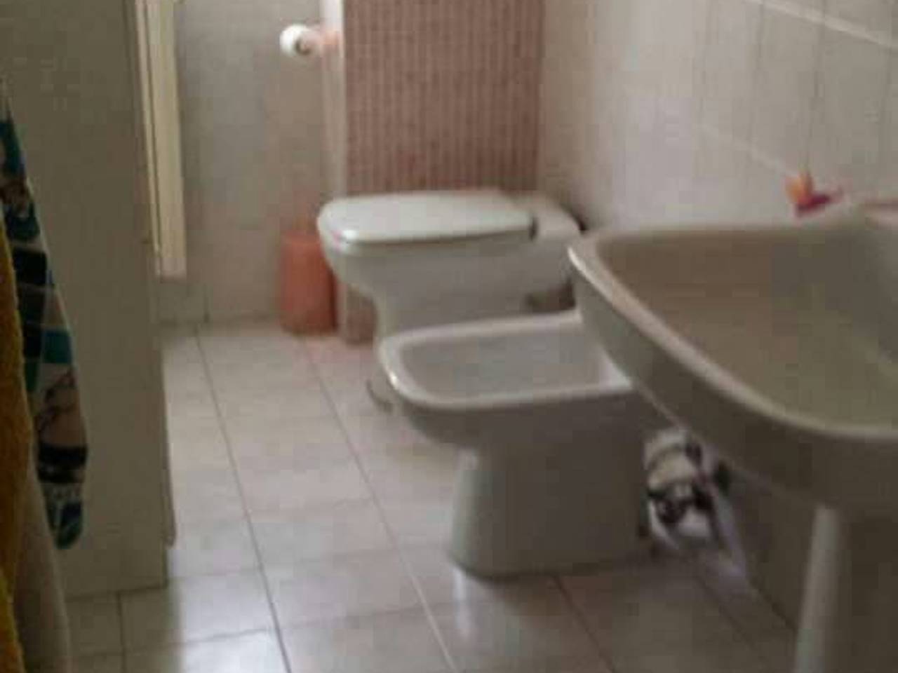 negozio in affitto a Firenze in zona Careggi