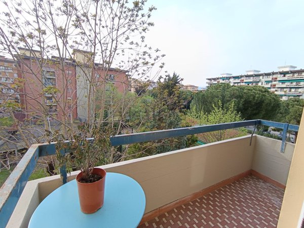 appartamento in affitto a Firenze in zona Novoli