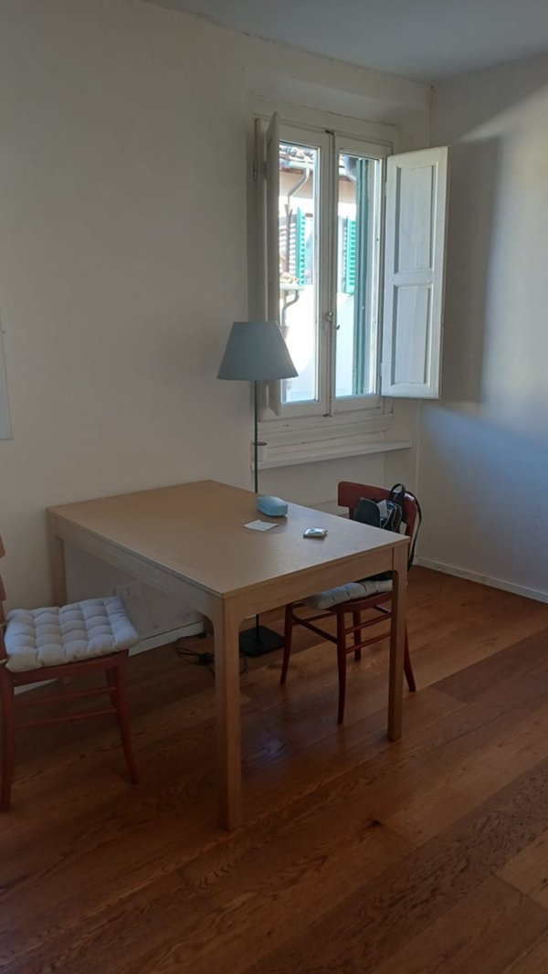 appartamento in affitto a Firenze in zona Centro San Frediano