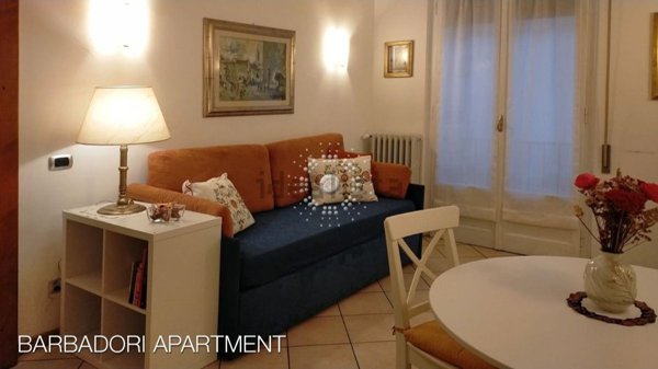 appartamento in affitto a Firenze in zona Centro San Frediano