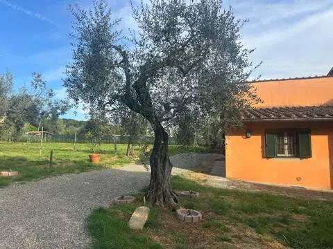 appartamento in affitto a Firenze in zona Le Cure