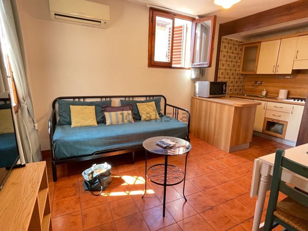 appartamento in affitto a Firenze in zona Centro San Frediano