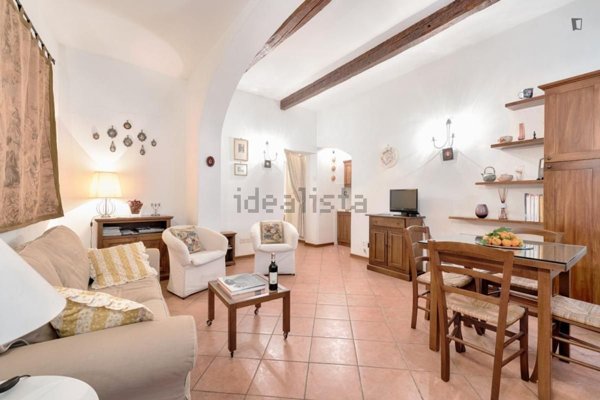 appartamento in affitto a Firenze in zona Centro San Frediano