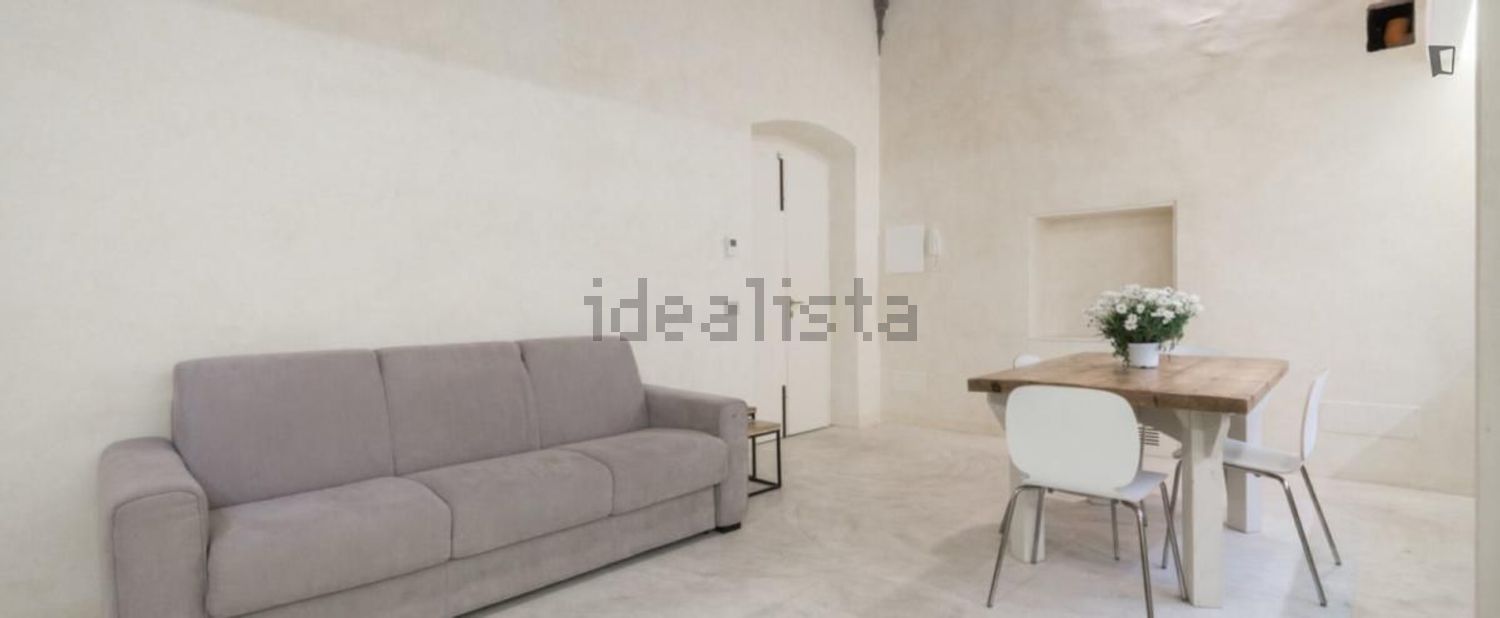 appartamento in affitto a Firenze in zona Centro Santa Croce