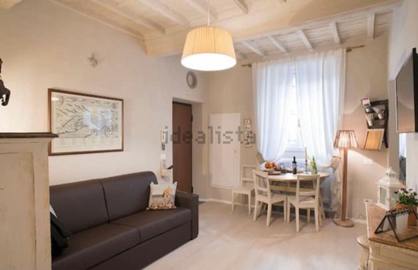 appartamento in affitto a Firenze in zona Centro San Frediano