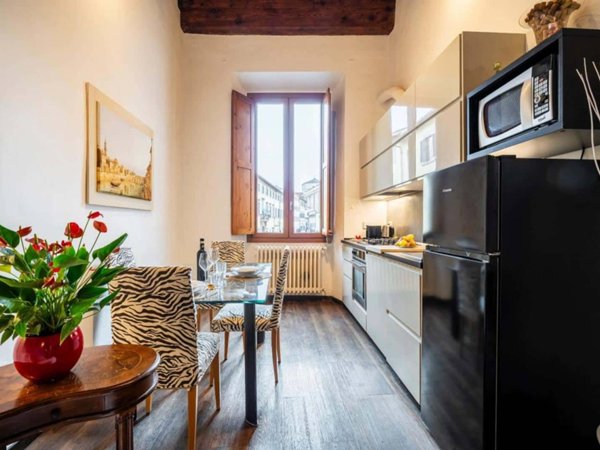 appartamento in affitto a Firenze in zona Centro San Frediano
