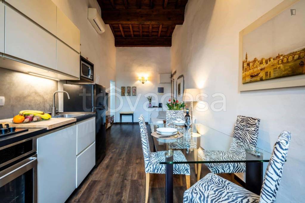 appartamento in affitto a Firenze in zona Centro San Frediano