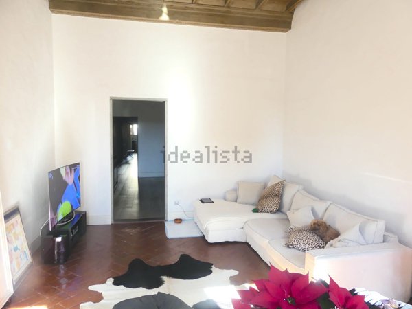 appartamento in affitto a Firenze in zona Centro San Frediano