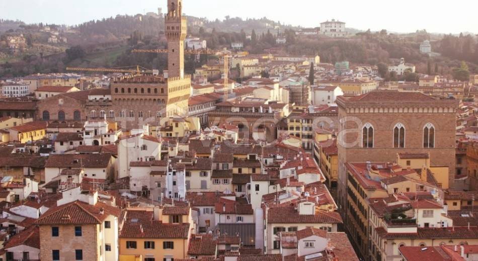 appartamento in affitto a Firenze in zona Centro San Frediano