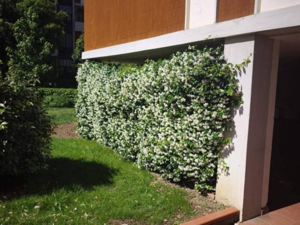 appartamento in affitto a Firenze in zona Serpiolle