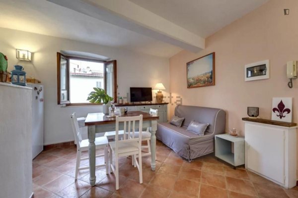 appartamento in affitto a Firenze in zona Centro San Frediano