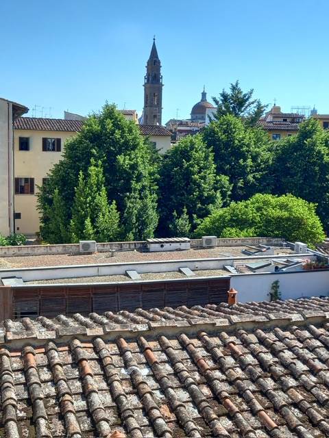 monolocale in affitto a Firenze in zona Centro San Frediano