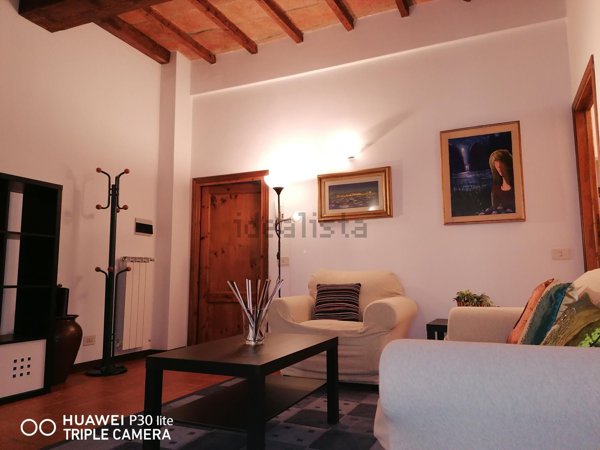 appartamento in affitto a Firenze in zona Centro San Frediano