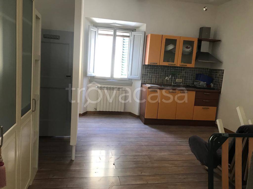 appartamento in affitto a Firenze in zona Centro San Frediano