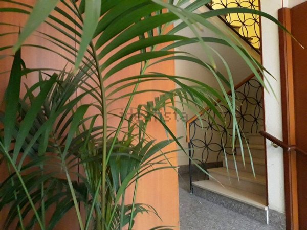 appartamento in affitto a Firenze in zona Novoli
