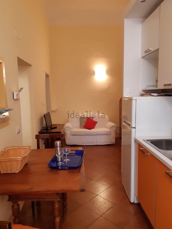 appartamento in affitto a Firenze in zona Centro Santa Croce