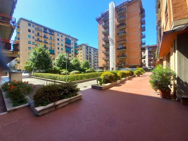 appartamento in affitto a Firenze in zona Novoli