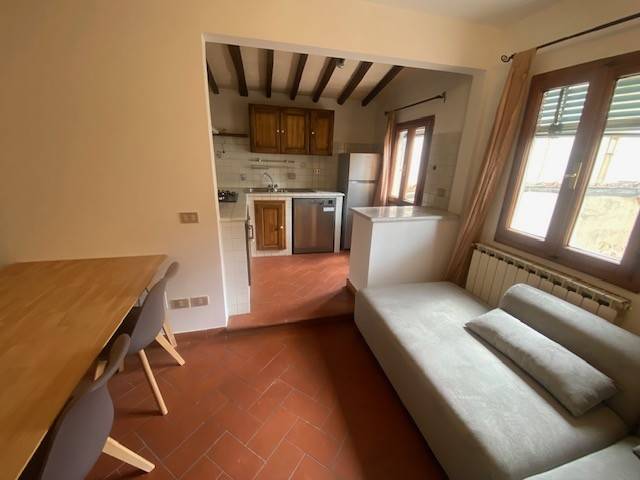 appartamento in affitto a Firenze in zona Centro San Frediano