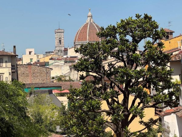 appartamento in affitto a Firenze