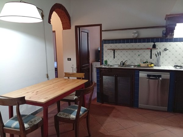 appartamento in affitto a Firenze in zona Centro San Frediano