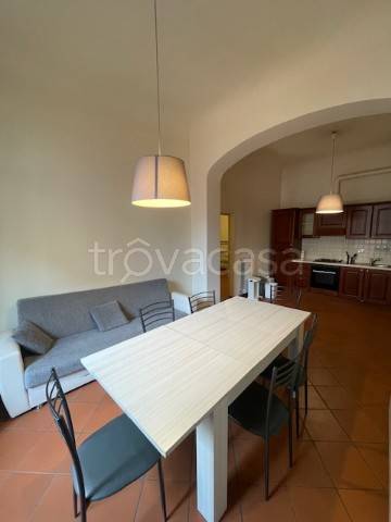 appartamento in affitto a Firenze in zona Centro San Frediano