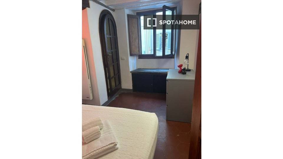 appartamento in affitto a Firenze in zona Centro San Frediano