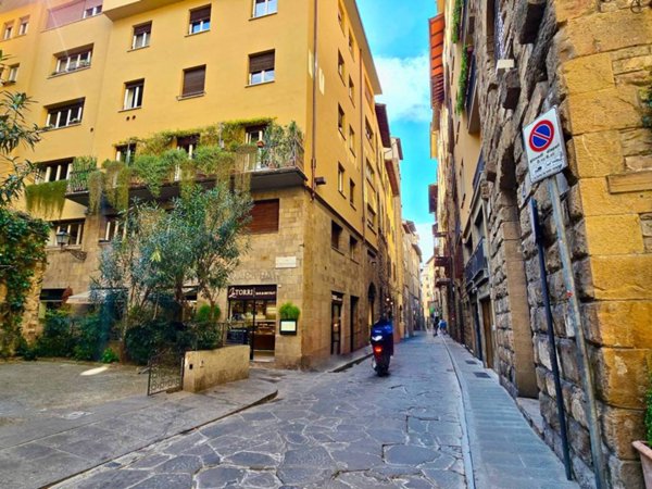 appartamento in affitto a Firenze in zona Pitti